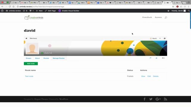 Routes Manager Peepso Integration Add-on | WordPress смотреть онлайн