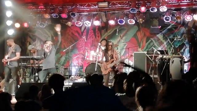 MOKOOMBA@TROPEN TANGO-2019-004 смотреть онлайн