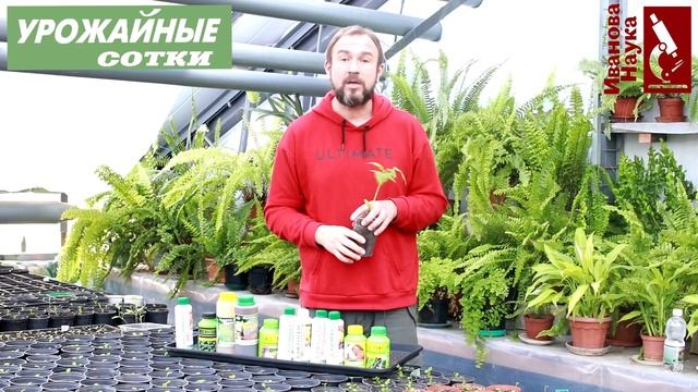 Рассада ОСТАНОВИЛАСЬ в росте? 6 способов заставить ее расти снова! Акселераторы рассады. смотреть онлайн