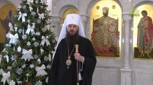 Рождественское поздравление митрополита Волгоградского и Камышинского Феодора