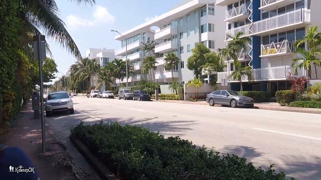 ?️ Майами-Бич - День 16 смотреть онлайн