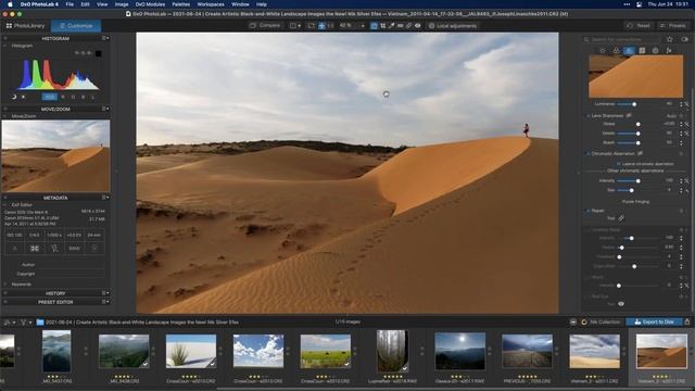 Create Artistic Black-and-White Landscape Images with Nik Silver Efex смотреть онлайн