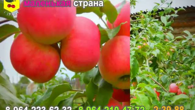 маленькая страна смотреть онлайн
