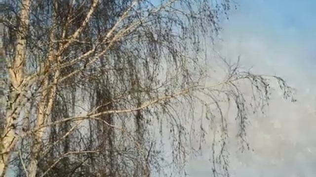 Чтение стихотворения Наталии Храмцовой ЖИЗНЬ ТОНЕНЬКАЯ НИТЬ смотреть онлайн