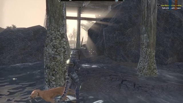 The Elder Scrolls Online (STEAM PC) Capitulo 18