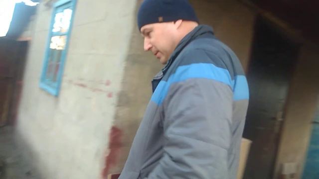 Королевские утки шыпуны. несут большые яйца !!!! смотреть онлайн