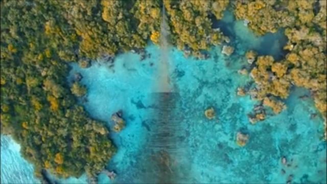 Видео релакс - звуки моря смотреть онлайн