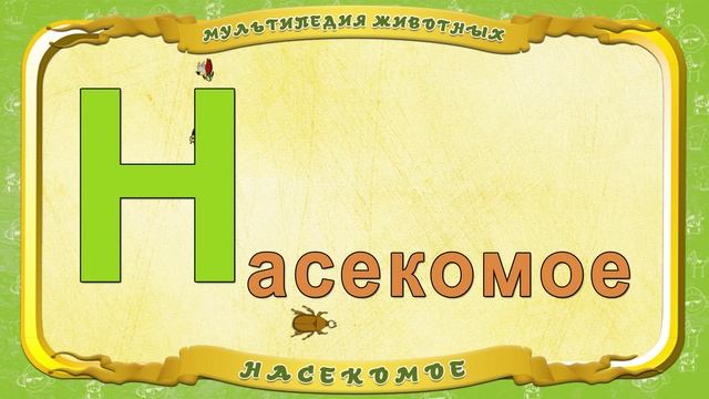 Мультипедия животных. Буква Н - Насекомое смотреть онлайн