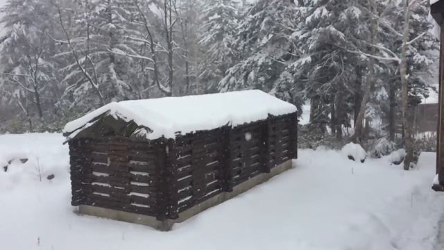 2015 Hokkaido Day 04 Video 1 смотреть онлайн