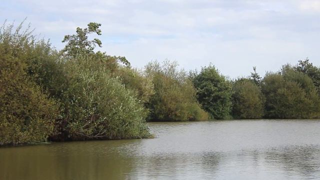 **AUTUMN ROVING** Carp Fishing ꟾ Orchard Place Farm Lake 7 ꟾ 2021 смотреть онлайн