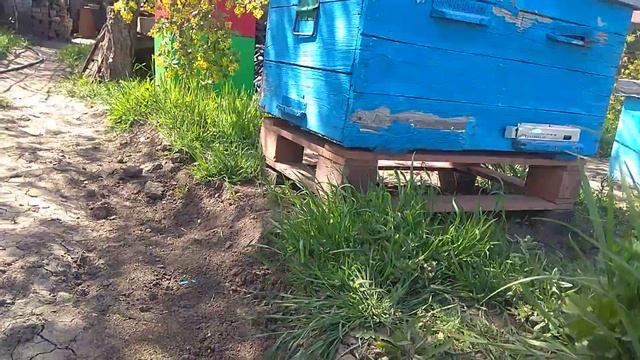 Подставки под улья! смотреть онлайн