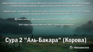Сура «Аль-Бакара»- за 1 час