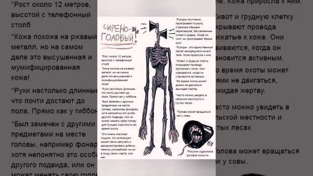 Сереноголовый Serenogol