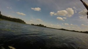 Нахлыст.Ловля красноперки нахлыстом