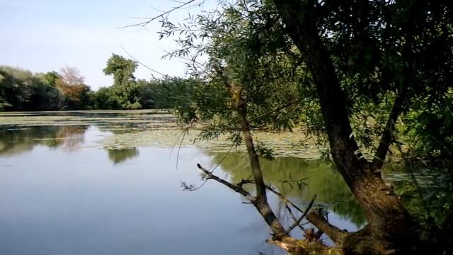 Samsung NX10 HD video recording смотреть онлайн