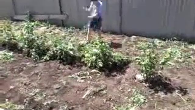 Как рубить сорняки смотреть онлайн