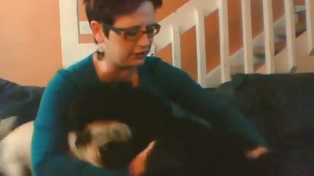 My 2 dogs..Love4Nails BarkOff Giveaway :) смотреть онлайн
