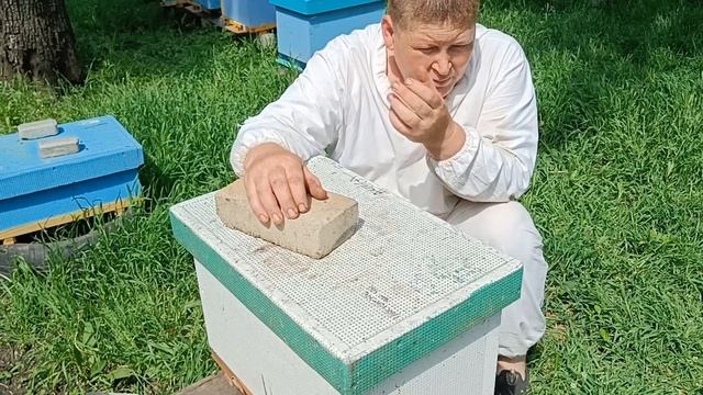 Отводки на 2 рамки, отводок на маточник.Відводки бджіл на маточник. смотреть онлайн