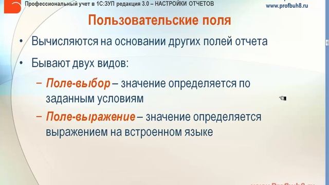 Настройки отчетов в 1С:ЗУП 3.0 - Общие сведения о пользовательских полях смотреть онлайн