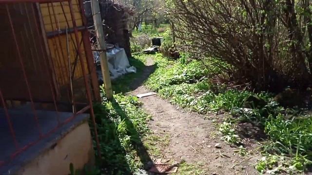 Первая поездка на дачу с семьёй))) шашлыки смотреть онлайн