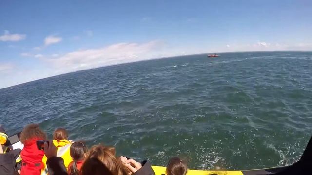 Кит напугал группу туристов | Keith frightened group of tourists смотреть онлайн
