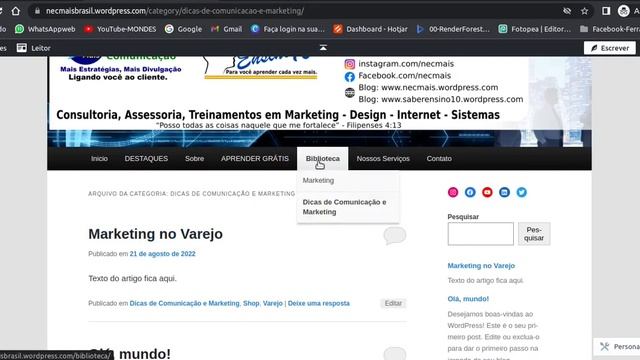 Vídeo Aula inserindo Submenu Hierárquico no menu principal no Word Press. смотреть онлайн