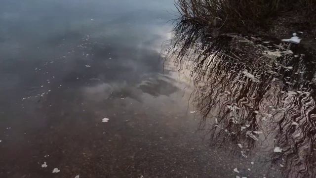 10 апреля, река Уфимка, весна, отдых, на природе, деревья смотреть онлайн