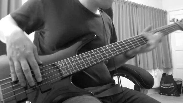 Bebel Gilberto - Bananeira (bass cover) смотреть онлайн