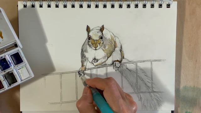 Pen Sketch 24/ Squirrel ペンスケッチ24 / リス смотреть онлайн