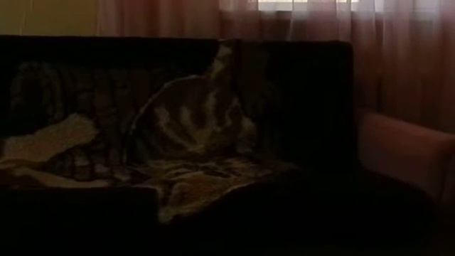 После 50-ти жизнь только начинается смотреть онлайн