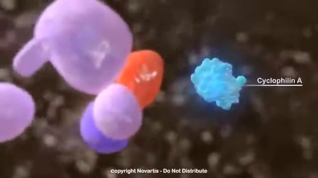 'Жизненный цикл вируса Гепатита С'