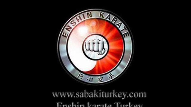 Enshin karate смотреть онлайн