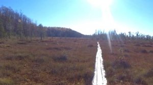 Охраняемые природные территории Новгородской области (48:9)