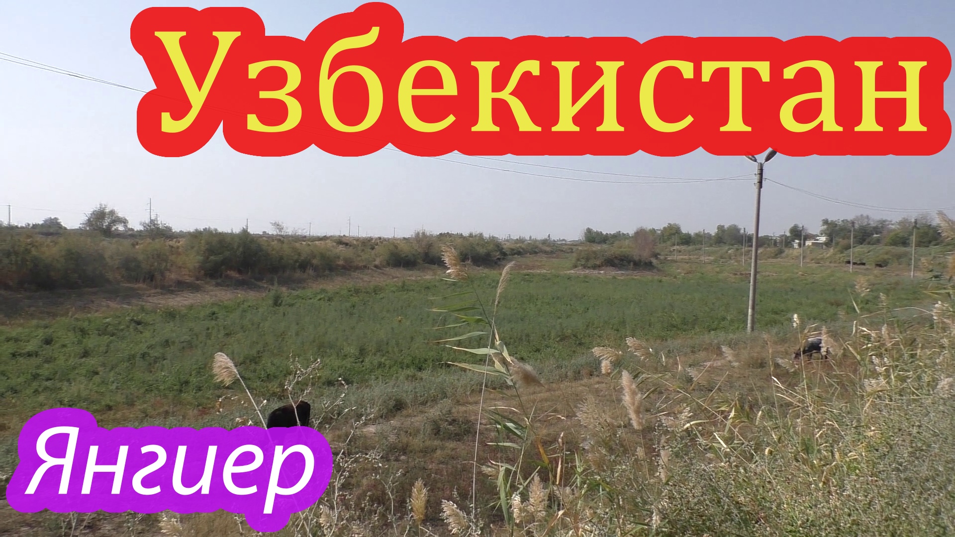 Янгиер город моей юности 2.mp4 смотреть онлайн