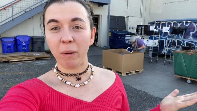 ЭПИЗОД 5: БЕСПЛАТНЫЕ КОМПЬЮТЕРЫ И ПЕРЕРАБОТКА ТЕХНИКИ (США, город Портленд) смотреть онлайн