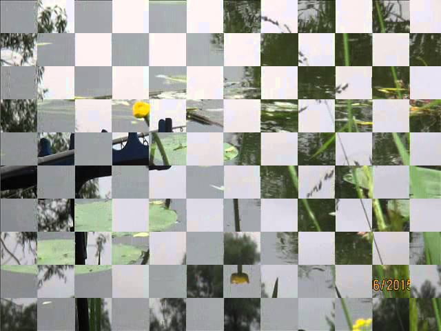 Подбор поводка и поимка леща смотреть онлайн