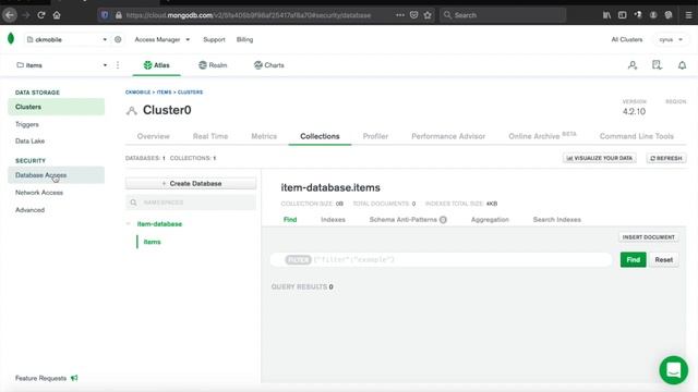 Create an CRUD Application with ExpressJS and MongoDB #7 | setup mongoDB смотреть онлайн