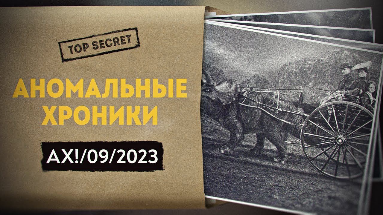 Неогеновый мир «Властелина колец» смотреть онлайн