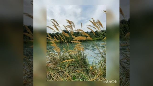 "Ивушка зеленая". Муз. Г. Пономаренко, стих. В. Алферов. Будьте все здоровы и счастливы!!! смотреть онлайн