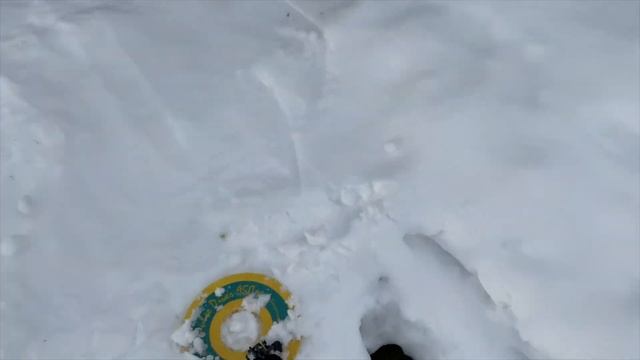 Metal detecting for lost rings in the snow... смотреть онлайн
