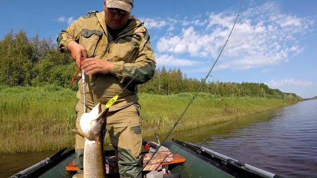 Щука на каждом забросе! ловля щуки на спиннинг на реке Обь! смотреть онлайн