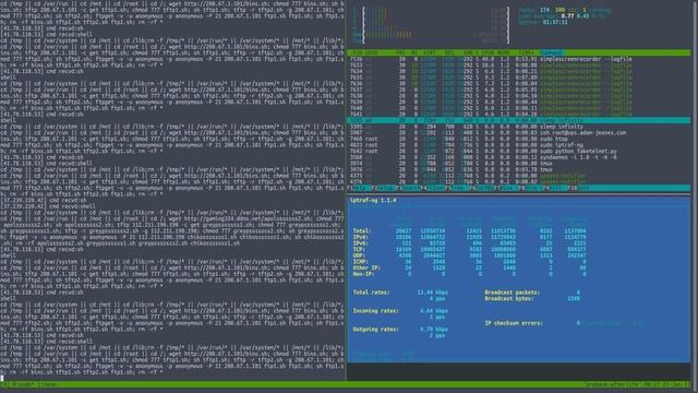 Mirai Honeypost Test смотреть онлайн