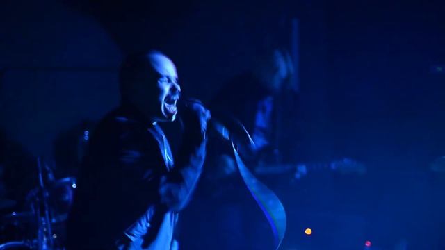 14.02.2020 Кошачьи ворота в Secret place (Саранск) смотреть онлайн