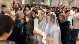 Туй Новосибирск