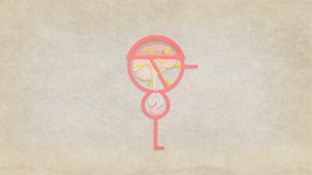 The surprising reason you feel awful when you're sick - Marco A. Sotomayor смотреть онлайн