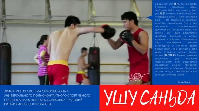 Эффективная система самообороны и универсального полноконтактного спортивного поединка смотреть онлайн