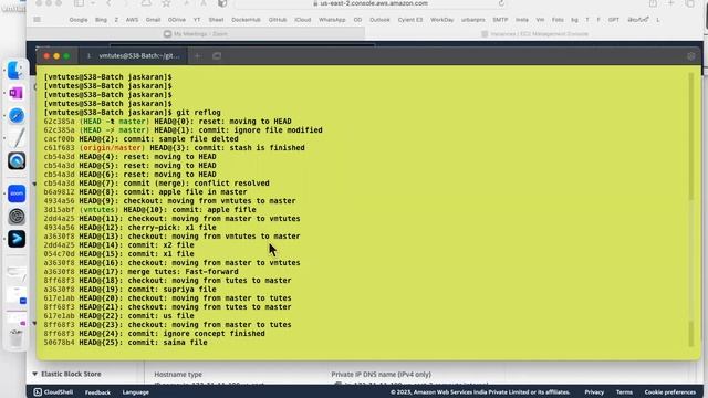 Git Lecture-6 | Git Undo's From Working, Staging, and Committing Areas #VmTutes смотреть онлайн