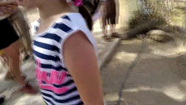 Зоопарк Friguia Park в Тунисе 2019 смотреть онлайн