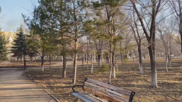 Алмазная вышивка? ?Продолжаем выкладывать алмазку Попугай ? смотреть онлайн