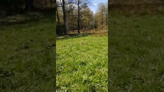 Солнечный день в Простоквашино. смотреть онлайн